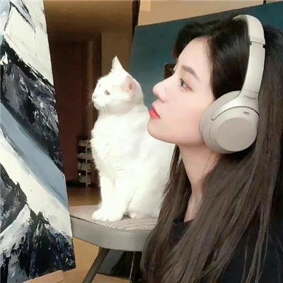 黑暗的森林2